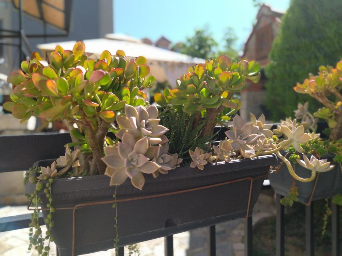 The House Apartments & Guest Rooms Ohrid Exteriör bild